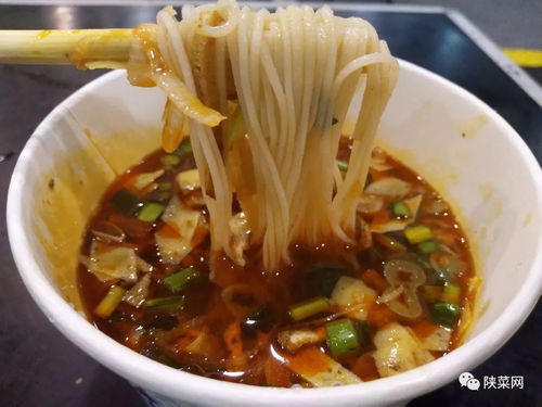 三秦美食大联欢 陕西官府菜首展照亮杭州，西安餐饮管理引领风味新篇